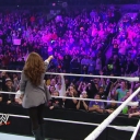 WWE_Elimination_Chamber_2011_mp4_004682233.jpg