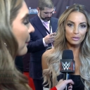 The_Bellas2C_Trish_Stratus_and_more_walk_the_red_carpet_for_WWE_Evolution_021.jpg