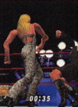 wwfnomercyguide_05.jpg
