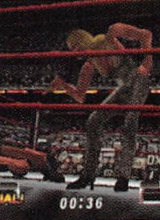 wwfnomercyguide_06.jpg