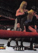 wwfnomercyguide_07.jpg