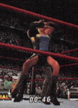wwfnomercyguide_08.jpg