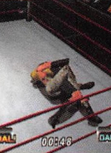wwfnomercyguide_09.jpg