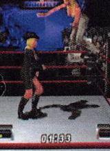 wwfnomercyguide_10.jpg
