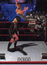 wwfnomercyguide_11.jpg